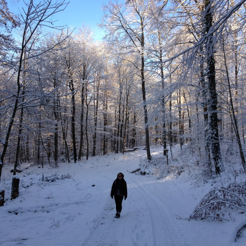 Hiking in Germany