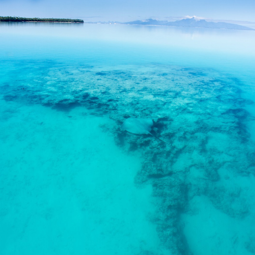 Studying in French Polynesia